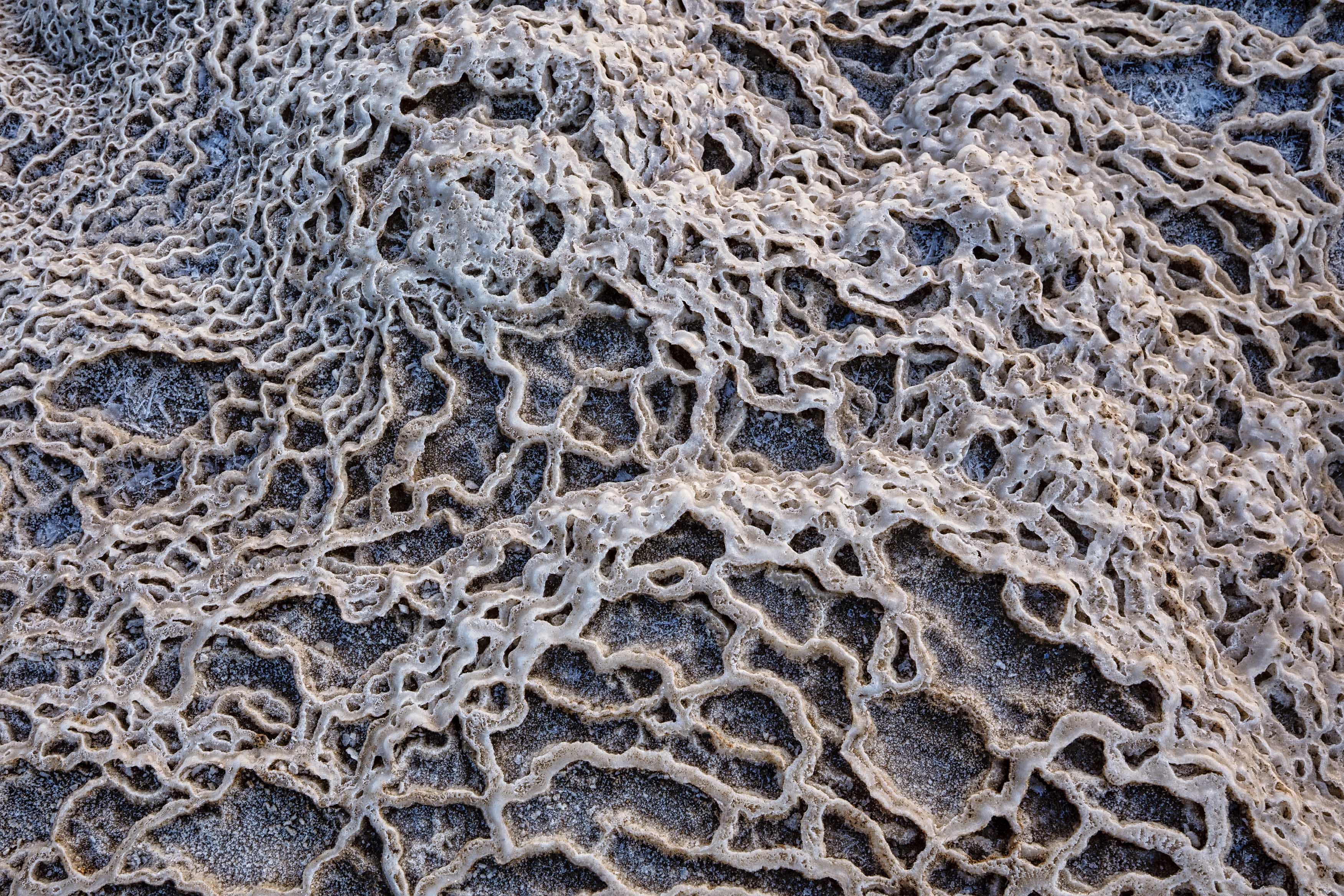 20201120-November 20, 2020-062854-062854-Edit.jpg